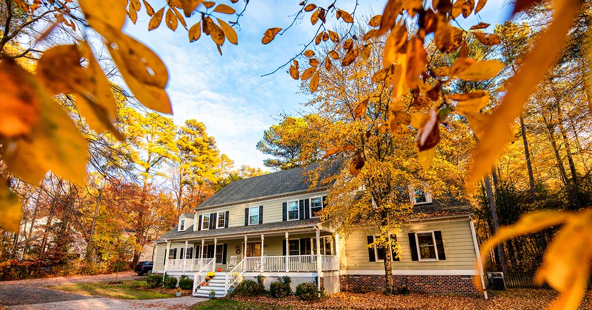 Creating a Non-Toxic Home