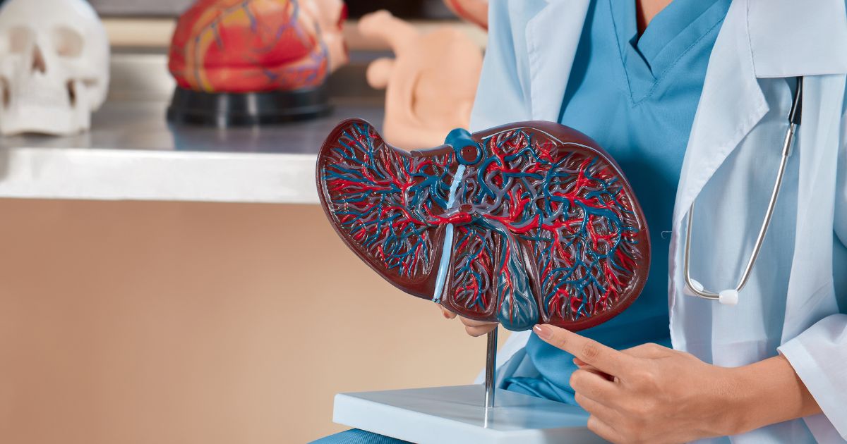 The Liver Load Nobody Talks About