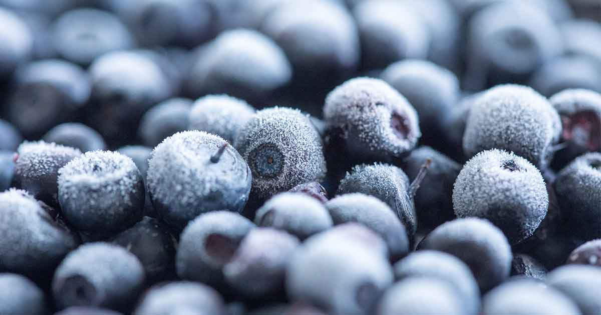 Frozen Blueberries