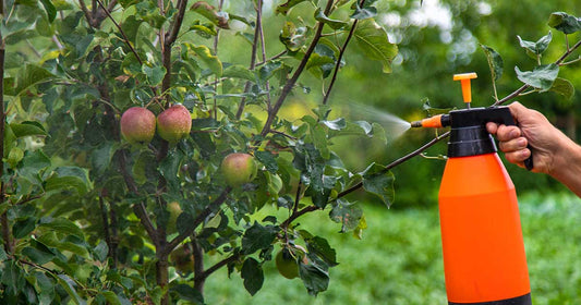 Are You Consuming Weed Killer?