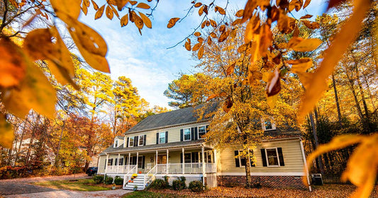 Creating a Non-Toxic Home