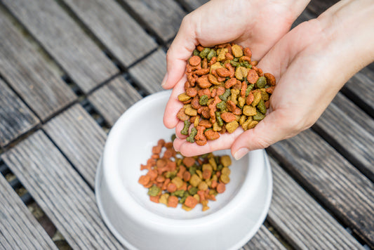 Dangers of Ethoxyquin in Pet Foods