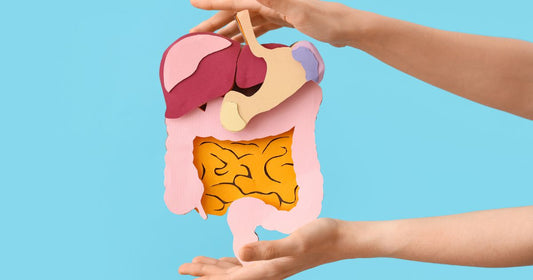Digestive Clarity
