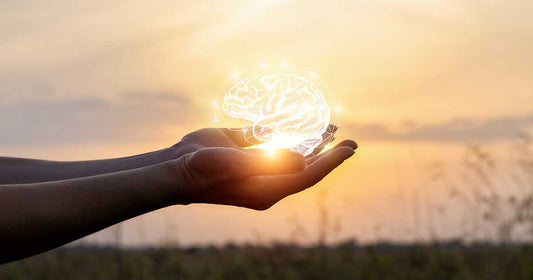 Environmental Toxins & Neurological Health