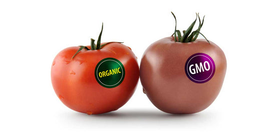 GMO vs. Organic