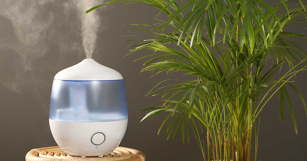 Humidifier Toxins