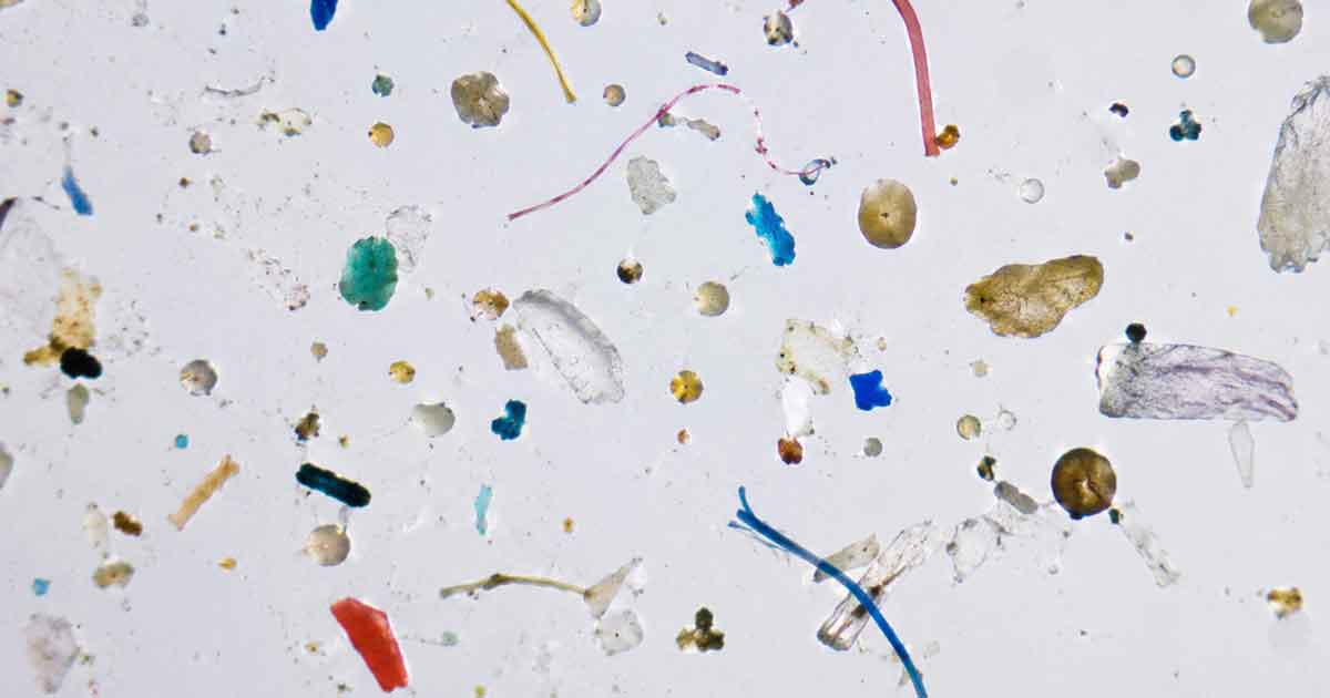 Microplastics Are Everywhere