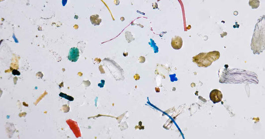 Microplastics Are Everywhere