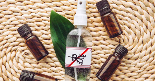 Natural Bug Repellents
