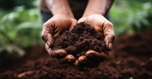 Regenerative Agriculture Farmers