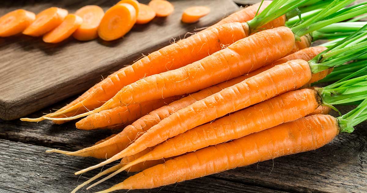 The Dangers of Eating Too Many Carrots – True Cellular Formulas®