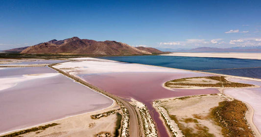Unraveling the Great Salt Lake's Crisis