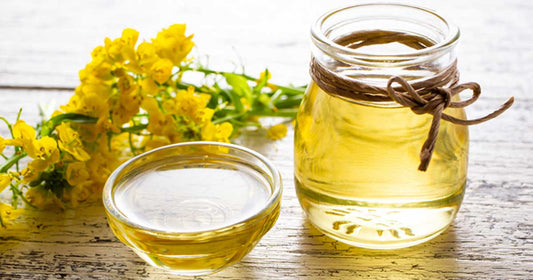 Understanding Canola Oil
