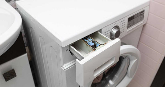 Unmasking the Musty Smell