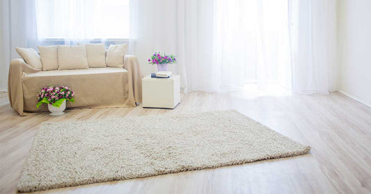 Unveiling Carpet's Toxic Reality