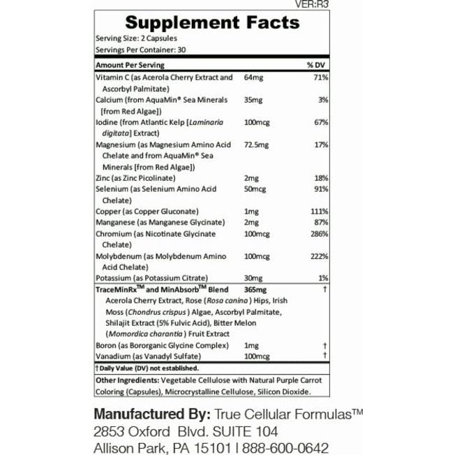 Workout Recovery Stack