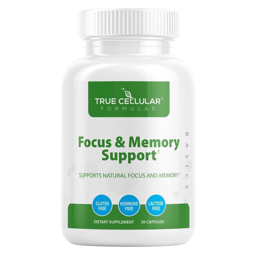 Focus and Memory Support*